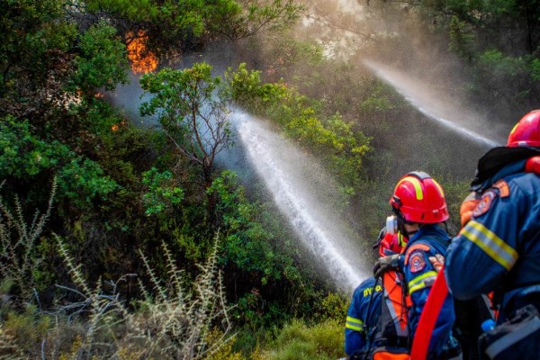 Φωτιά στην Κρήτη - Καίγεται το δάσος της Κέρης