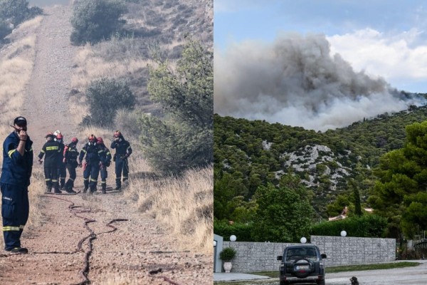 Φωτιά στην Πάρνηθα: Μπήκαν στην Εθνικό Δρυμό οι φλόγες - Εκκενώνεται το καζίνο - Η πυρκαγιά έφτασε στο τελεφερίκ