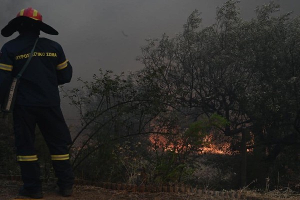 Ροδόπη: Φωτιά τώρα στην περιοχή Πάτερμα – Στη μάχη και εναέρια μέσα