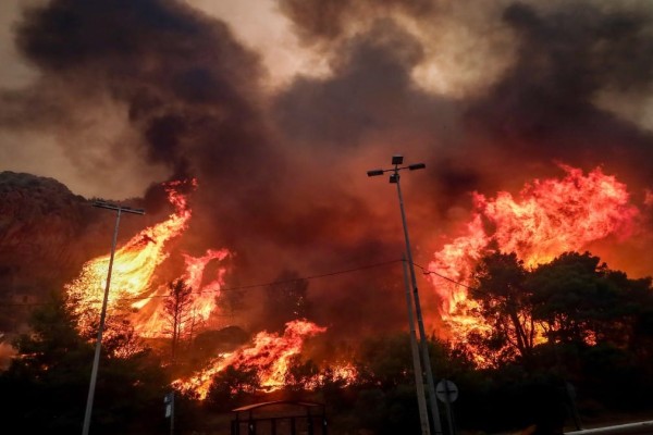 Σε πύρινο κλοιό η Ελλάδα: Εφιαλτικό ξημέρωμα στην Πάρνηθα! Ανεβαίνει στις πλαγιές η πυρκαγιά - Καίγεται για 5η μέρα η Αλεξανδρούπολη - Ξεκίνησαν να επιχειρούν τα εναέρια μέσα