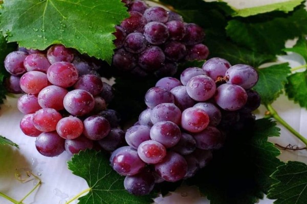 4 φρούτα με ελάχιστες θερμίδες που θα καταναλώσετε μέσα στο καλοκαίρι