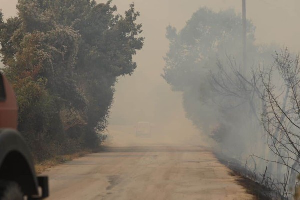 Δεν έχει τέλος η πύρινη λαίλαπα στον Έβρο: Το 112 ζητά εκκένωση του χωριού Αύρα προς Κομοτηνή