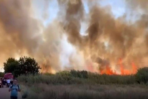 Πυρκαγιά στη Μεσσηνία: Μεγάλη επιχείρηση της Πυροσβεστικής - Μήνυμα του 112 για εκκένωση στην Ασπροπουλιά (video-photos)