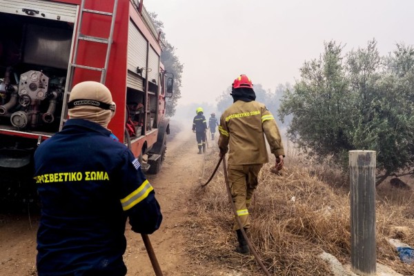 Φωτιά στην Παλλήνη - Άμεση κινητοποίηση της Πυροσβεστικής 