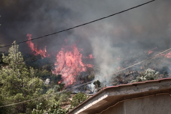 Φωτιά στην Πάρνηθα: Μια ανάσα από τη λεωφόρο, δίπλα στις ταβέρνες - Στα «καρφιά» αν θα φτάσει το μέτωπο στους Θρακομακεδόνες (video)