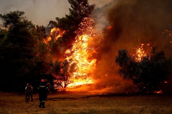 Φωτιά στις Σέρρες: Καίει πευκόφυτη έκταση στο Αηδονοχώρι