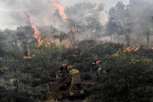 Φωτιά στον Όλυμπο - Καίει  σε δύσβατη περιοχή στην Καρυά Ελασσόνας