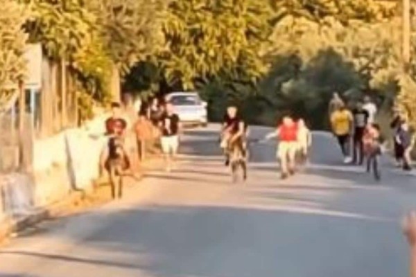 Νέα καταγγελία για κακοποίηση ζώων στη Λέσβο: Ανήλικοι αναβάτες έδερναν γαϊδούρια για να τρέξουν πιο γρήγορα σε αγώνες (video)