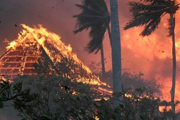 Πυρκαγιά στη Χαβάη: Μόλις 2 από τις 93 σορούς έχουν ταυτοποιηθεί - «Είναι τόσο εύθραυστοι που διαλύονται»