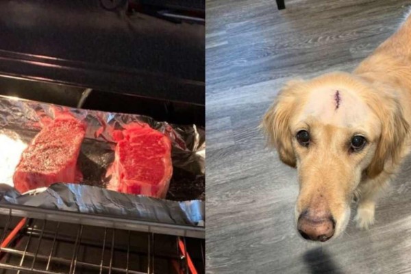 Η αγάπη κάνει θαύματα: Άνδρας έφτιαξε το πιο ωραίο γεύμα για τον σκύλο του που κέρδισε τον καρκίνο