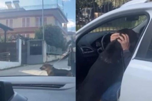 Απίστευτο βίντεο: Θεσσαλονικιός βρήκε τον σκύλο του, που είχε χαθεί το 2017 και το ζώο «τρελάθηκε» όταν τον είδε!