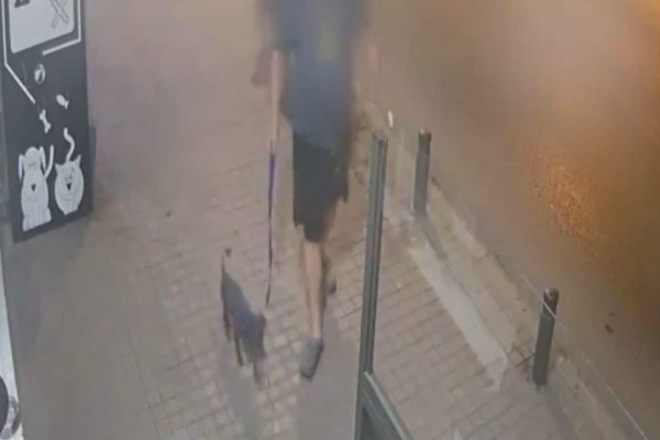 Οργή στη Θεσσαλονίκη: Άνδρας έδεσε και εγκατέλειψε σκύλο - «Δεν μπορώ να τον κρατήσω άλλο, δεν ήξερα τι να τον κάνω!» (Video)