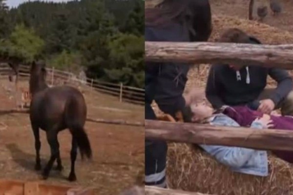 Φάρμα: Σοβαρό ατύχημα διαγωνιζόμενης - Την χτύπησε άλογο (video)