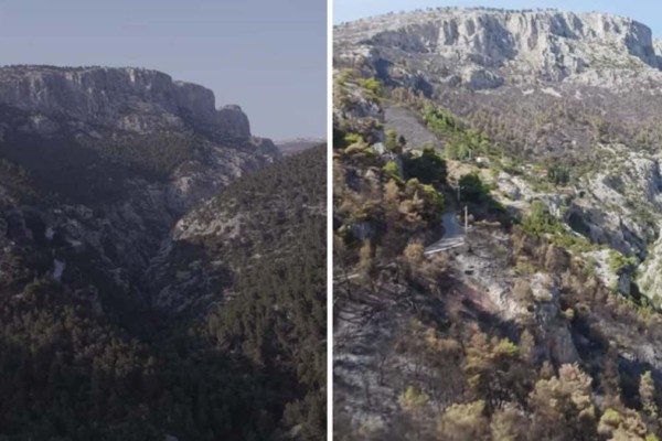 Φωτιά στη Φυλή: Βίντεο με το πριν και μετά της απόλυτης καταστροφής – «Σπαράζει η καρδιά σου»