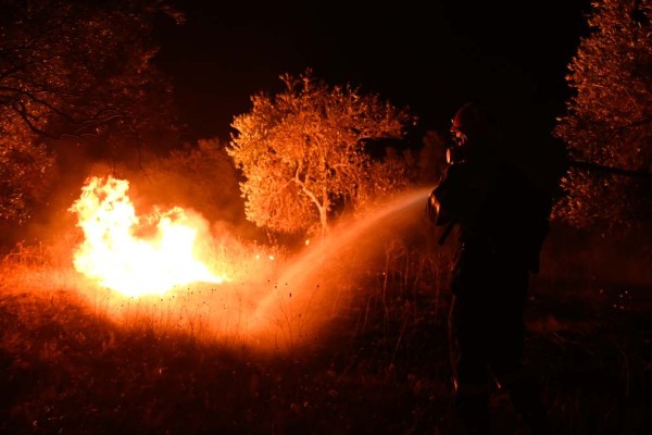 Δύσκολη η νύχτα με τις φωτιές στον Έβρο: Συνεχής η μάχη των πυροσβεστών - Τεράστια επιχείρηση κατάσβεσης