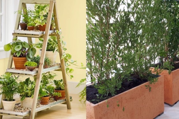 «Φαρμάκι» για τα φυτά: 5 πράγματα που καταστρέφουν ανεπανόρθωτα τις γλάστρες στο μπαλκόνι σας
