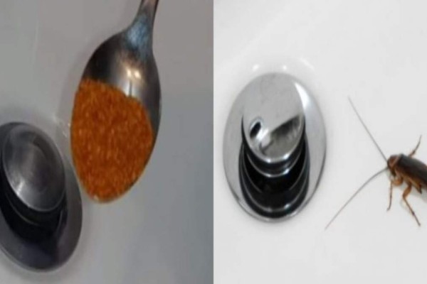 Κατσαρίδες στο μπάνιο: Χωρίς απολύμανση και με μόλις μια κουταλιά θα τις εξαφανίσεις για μήνες