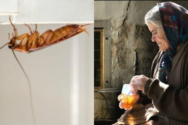 «Τέζα» η κατσαρίδα με μια κίνηση της γιαγιάς - Το Νο1 φυσικό κόλπο για μόνιμη λύση!