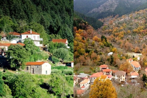 Μια «μικρή Ελβετία» στην Ελλάδα: Το ελατοσκέπαστο ορεινό χωριό της Πελοποννήσου που σε ταξιδεύει σε άλλα μέρη