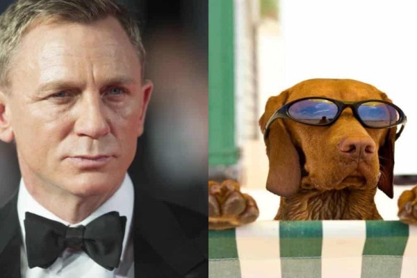Πώς λέγεται ο σκύλος του James Bond... Το καμένο ανέκδοτο της ημέρας (1/11)