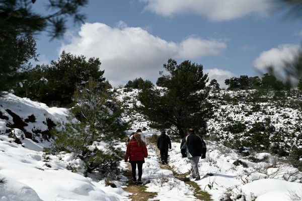 Πολικό ψύχος κάλυψε την χώρα: Έπεσε κάτω από το 0 ο υδράγυρος - Που σημειώθηκε η χαμηλότερη θερμοκρασία (video)