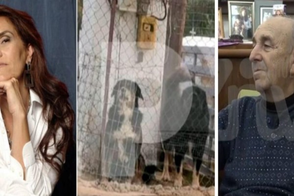 «Είχαν άγριες διαθέσεις, δεν μπορεί ένας 37χρονος να κάνει τέτοια λάθη» - Συγκλονίζει 70χρονος που δέχθηκε επίθεση από τα σκυλιά που κατασπάραξαν την 50χρονη στη Θεσσαλονίκη (Video)