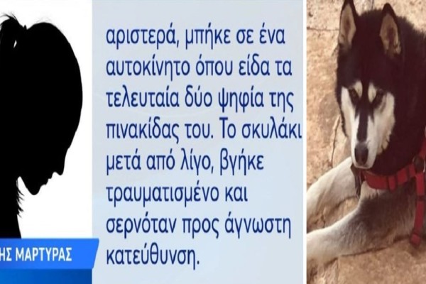 Αράχωβα: Συγγενής αντιδημάρχου ο 