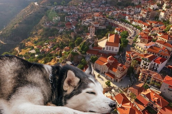 «Δεν πρόκειται να μου κάνουν τίποτα, έχω διασυνδέσεις»: Προκαλεί ο δράστης που κακοποίnσε τον Όλιβερ στην Αράχωβα