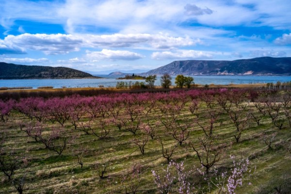 Η φωτογραφία της ημέρας: Η λίμνη Βεγορίτιδα στην «καρδιά» της Μακεδονίας