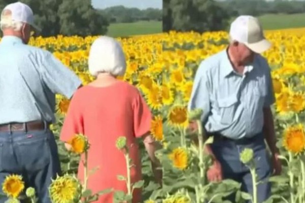 75χρονος αγρότης, στην 50η επέτειο γάμου, πήγε τη σύζυγό του στο χωράφι – Τóτε της λέει «άνοιξε τα μάτια σου»