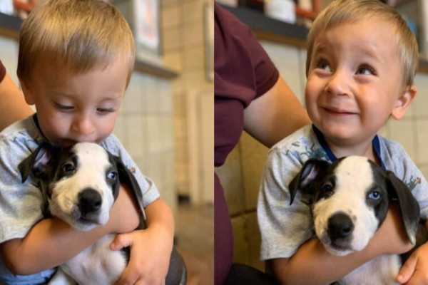 Η μοίρα τους έφερε μαζί: Παιδί υιοθετεί σκυλάκι με την ίδια πάθηση με αυτό και δεν σταματά να χαμογελά!