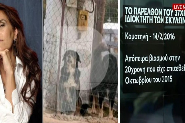 Αυν@νισμός, απόπειρες βι@σμού και ληστείας: Το ποινικό παρελθόν του 37χρονου με τα σκυλιά που κατασπάραξαν την 50χρονη στην Θεσσαλονίκη (Video)