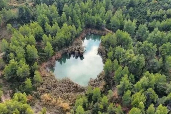 Μαυροσουβάλα: Σύντομη απόδραση στη κρυστάλλινη λίμνη της Αττικής - Απέχει μόλις 1 ώρα από την Αθήνα (video)