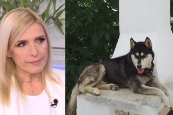 «Σπάει» τη σιωπή της η Ρένα Κουβελιώτη για την κτηνωδία στην Αράχωβα: «Την ίδια μέρα που κατέθεσα, έριξαν φόλες στο πάρκο που πηγαίνω με τον σκύλο μου» (video)