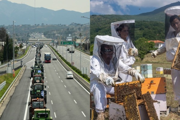 Έφυγαν οι αγρότες, έρχονται οι μελισσοκόμοι: Με κυψέλες θα γεμίσει σήμερα (22/2) το Σύνταγμα! (video)