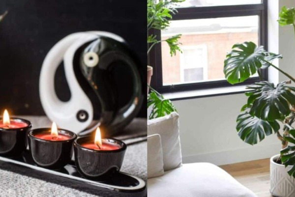 7 Φυτά Εσωτερικού Χώρου για Καλό Feng Shui, Τύχη & Θετική Ενέργεια