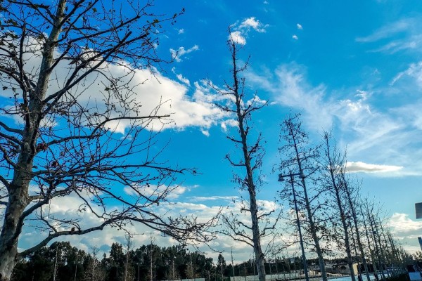 Καιρός σήμερα 14/3: Συνεχίζεται η... ταλαιπωρία των βροχών - Πού θα «χτυπήσουν» τα φαινόμενα