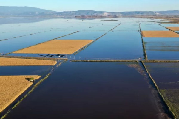 Λίμνη Κάρλα: Επτά μήνες μέτα τις καταστροφικές πλημμύρες - Ποια η πρόταση του Ευθύμη Λέκκα