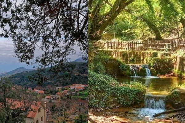 Σε απόσταση αναπνοής από την Αθήνα: Ο κρυμμένος «παράδεισος» με τα καταπράσινα τοπία που σας περιμένει να τον εξερευνήσετε (video)