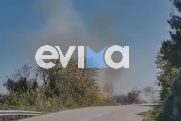 Δύσκολη μέρα για την Εύβοια: Φωτιά ξέσπασε στο νησί μετά τον πρωινό σεισμό (video)