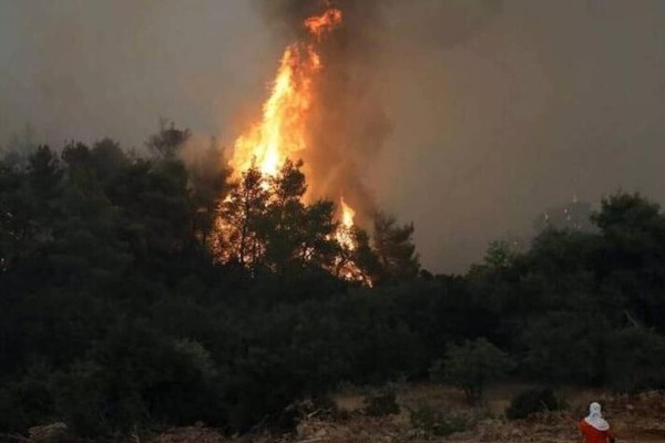 Συναγερμός στο Δήμο Σπάτων-Αρτέμιδας: Φωτιά σε δασική έκταση - Σηκώθηκαν και εναέρια μέσα