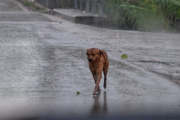 Καιρός σήμερα 17/4: 10 βαθμοί κάτω ο υδράργυρος - Βροχές και σκόνη σε όλη τη χώρα (video)