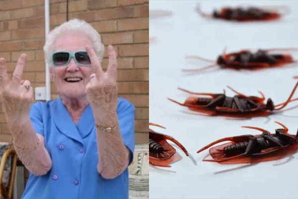 Επιχείρηση «γιαγιά»: Το απίθανο κόλπο με την μαγειρική σόδα για να εξαφανίσετε τις κατσαρίδες