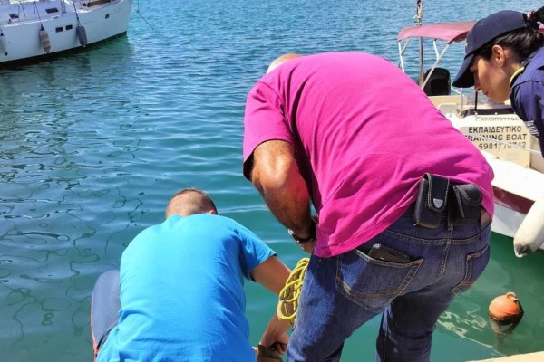 «Πάγωσαν» όλοι στο λιμάνι του Βόλου: Εντοπίστηκε καρχαρίας αλεπού μήκους 3,5 μέτρων να κολυμπάει δίπλα τους