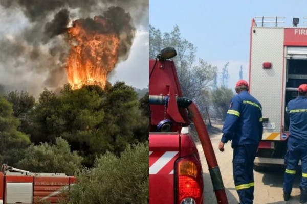Φωτιά στην Αργολίδα: Φουντώνει το πύρινο μέτωπο - Καίει κοντά σε οικισμό 