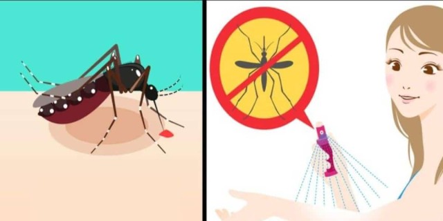 «Πλάκωσαν» οι ζέστες, κατέφθασαν και τα κουνούπια: Η απόλυτη συνταγή για να ησυχάσετε όλο το καλοκαίρι!