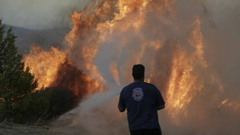 Συναγερμός στην Κρήτη: Φωτιά σε δάσος του Ηρακλείου