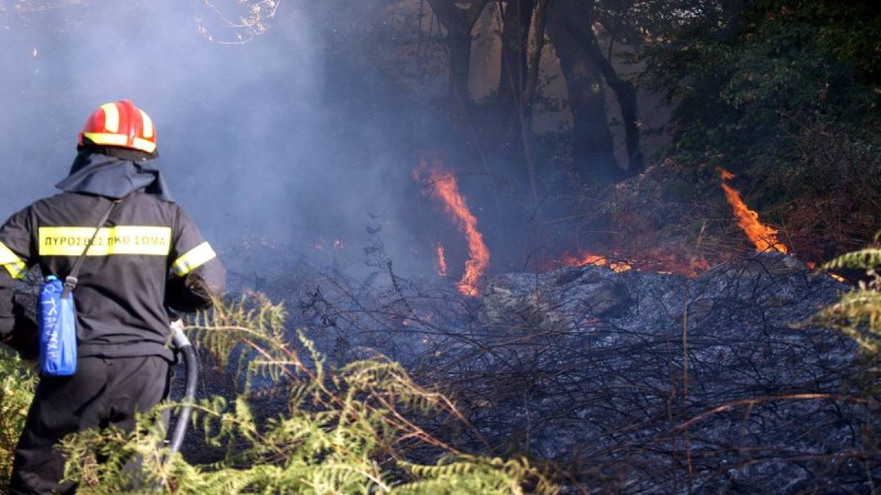 Κρήτη: Μεγάλη φωτιά ξέσπασε στη Ρογδιά