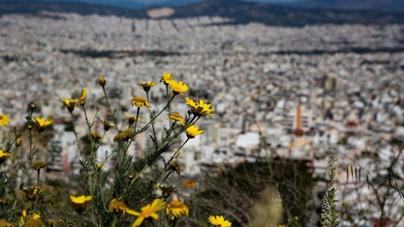 καιρός σήμερα