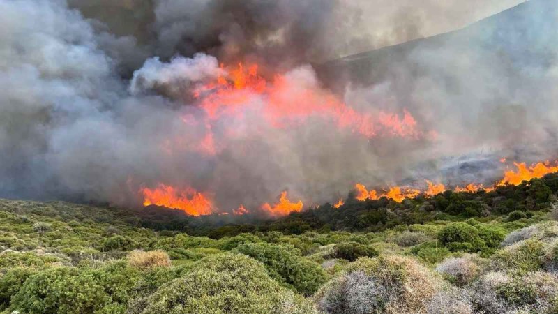 Φωτιά στην Άνδρο: Έρευνες για τα αίτια της πυρκαγιάς - Εκεί στρέφονται οι υποψίες